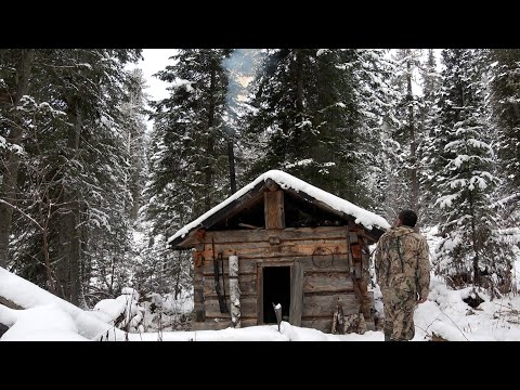 Видео: Промысловая охота на АЛТАЕ/Идем на берлогу/Добыли рябчика/Потерялась собака/Вся правда о медведях #2