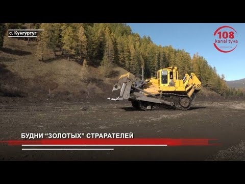 Видео: ЧЕТРА Т35 на добыче золота | Артель старателей «Ойна» | Республика Тыва