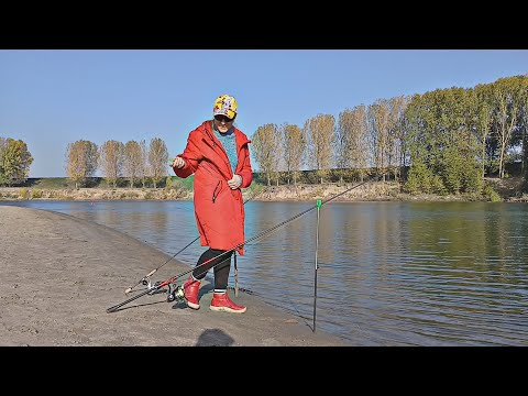 Видео: Кого можно поймать в реке Днестр с пляжа в Вадул-луй-Водах осенью на простую донку без прикормки