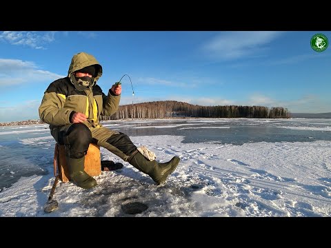 Видео: ЧТО ТО ХОРОШЕЕ ПРИСЕЛО НА ЧЕРТА! РЫБАЛКА НА ЛЕЩЁВОМ ОЗЕРЕ С ОПЫТНЫМ БЕЗМОТЫЛЬЩИКОМ И ВОТ РЕЗУЛЬТАТ!