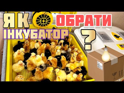 Видео: Як обрати ІНКУБАТОР, НА ЩО ЗВЕРНУТИ УВАГУ⁉️ щоб не пожалкувати⁉️мій досвід інкубації✅