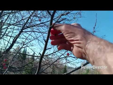 Видео: 13 октября 2025 г.