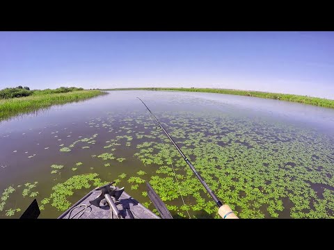 Видео: НАКОНЕЦ ТО! РЫБАЛКА НА РЕКЕ! СУДАК, ЩУКА ,ОКУНЬ! Спиннинг звенит от поклевок!