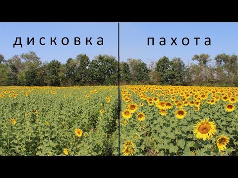 Видео: Пахота VS Дисковка  Часть 2