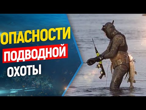 Видео: 🔥🔥🔥Что нужно знать подводному охотнику ? Опасности подводной охоты!