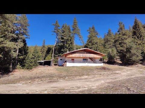 Видео: Древен път зад Вила на "ЛРД Сърница" /2024/