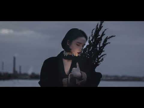 Видео: polnalyubvi — сирена // slowed + reverb