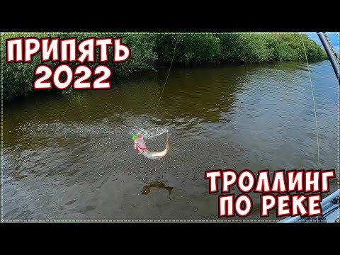 Видео: Щука сошла с ума. Троллинг по Припяти. Рыбалка 2022 Беларусь.