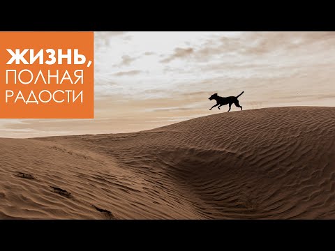 Видео: Джойс Майер: Противостаньте дьяволу, и он убежит