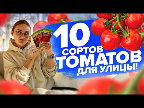 Видео: СОРТА ТОМАТОВ ДЛЯ ОТКРЫТОГО ГРУНТА 2024!