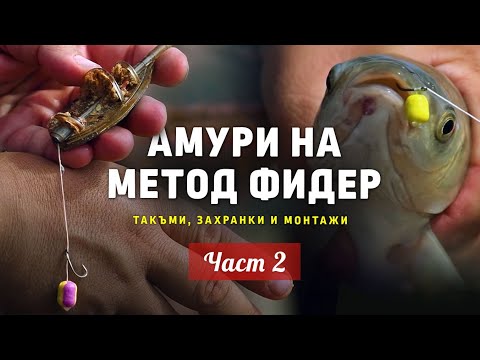 Видео: АМУРИ на МЕТОД ФИДЕР /Реални ПОДВОДНИ КАДРИ на кълване! /Такъми, захранки и монтажи... 2 част