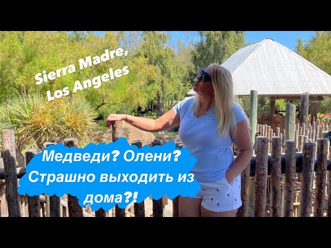 Видео: СТРАШНО ВЫХОДИТЬ ИЗ ДОМА!? МЕДВЕДИ! БЕГУ ОТ ОЛЕНЯ?