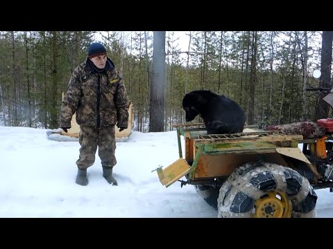 Видео: По болоту на снегоходе. Самодельный трёхколёсный вездеход.