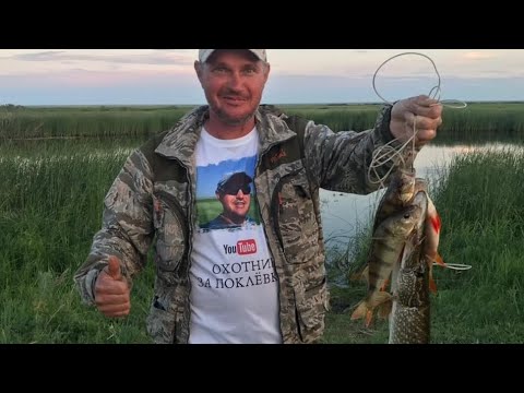 Видео: ДУШЕВНАЯ РЫБАЛКА С НОЧЕВКОЙ НА НОВОМ МЕСТЕ.