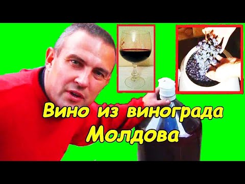 Видео: Вино из Молдовы