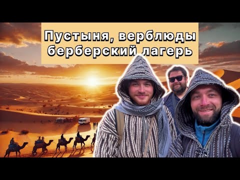 Видео: Марокканские приключения: закат в Сахаре на верблюдах