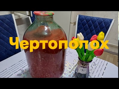 Видео: Чертополох⚘️ дәмі ерекше