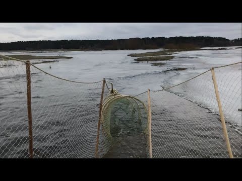 Видео: ПОСТАВИЛ НОВЫЙ ЖАК! ПРОВЕРИЛ СНАСТИ!