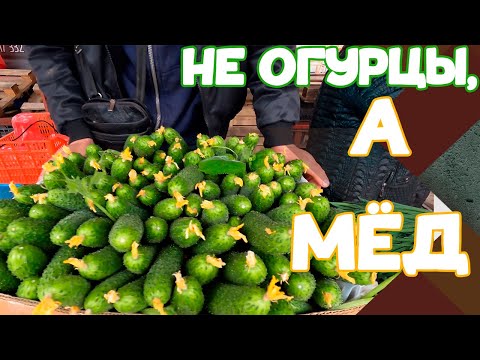 Видео: Первые продажи 2021! Высадка сахарной кукурузы. Финальная теплица огурцов!!!