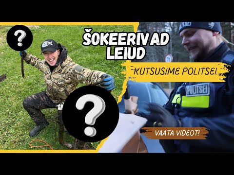 Видео: Магнитная ловля - мы нашли боевой топор викингов, древний якорь и винтовку Мосина!