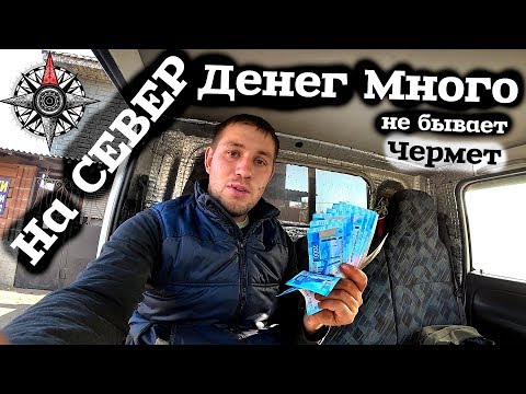 Видео: На север за черным металлом!!!!Все из за метало копа!" Роман Веселов "