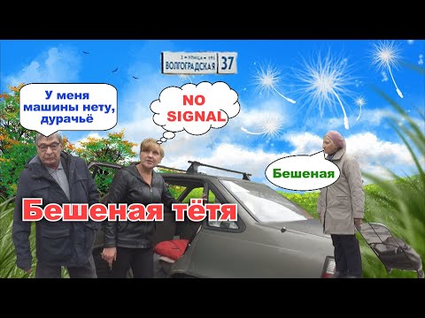 Видео: СТОПХАМЕКБ / БЕШЕННАЯ ТЁТЯ
