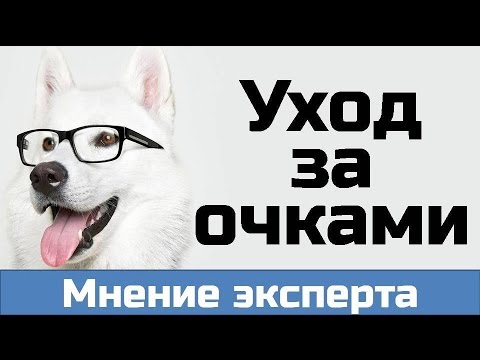 Видео: Как ПРАВИЛЬНО ухаживать за очками. Как почистить очки? Чем протирать очки?