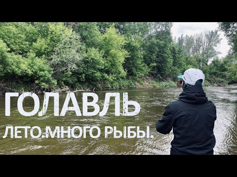 Видео: Рыбалка на ГОЛАВЛЯ! Мощнейшие поклевки и много рыбы!