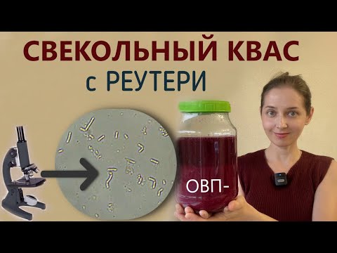 Видео: Заквашиваем свеклу, получаем освежающий пробиотический квас.