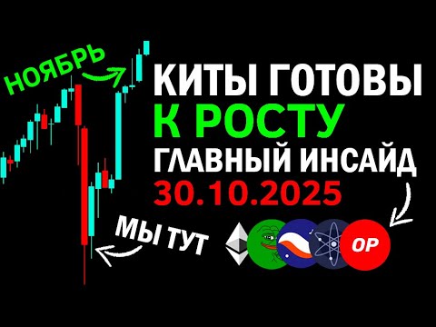 Видео: КОШЕЛЬКИ КИТОВ НА ГОТОВЕ, 30 ОКТЯБРЯ ВСЁ РЕШИТСЯ!!! ИНСАЙД КОГДА НАЧНЁТСЯ АЛЬТСЕЗОН 2025!!!