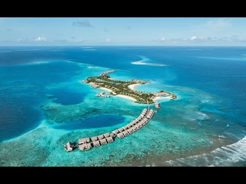 Видео: Intour Maldives Webinar - Вебинар с отелем Hilton Maldives Amingiri Resort & Spa 5* Luxury