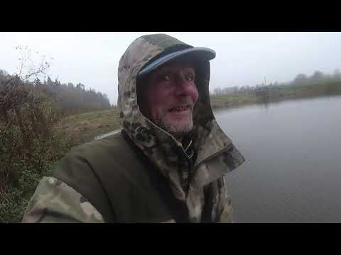 Видео: Как поймать живца в ноябре?