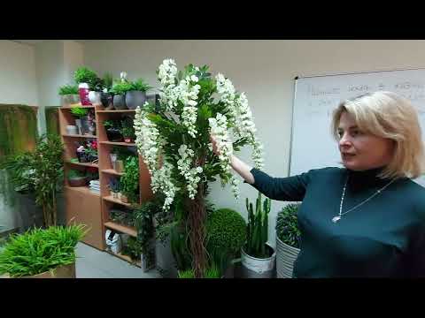 Видео: Искусственное растение глициния