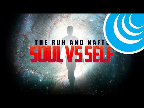 Видео: РУХ и НАФС. В чем разница?