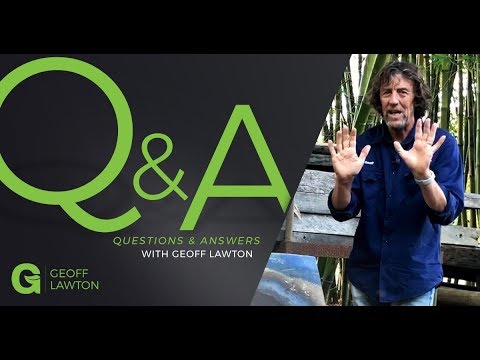 Видео: Вы производите биоуголь?