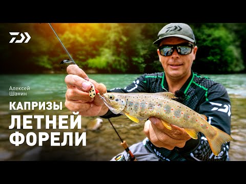 Видео: Капризы летней форели x Алексей Шанин