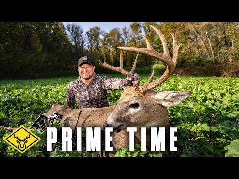 Видео: PRIME TIME | История о БОЛЬШОМ 5,5-летнем мальчишке из Миннесоты...