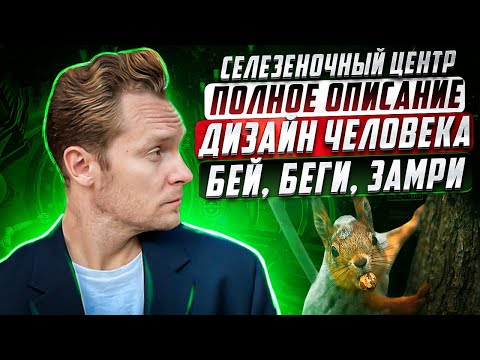 Видео: Селезёночный центр в Дизайне Человека: страхи, здоровье и интуиция | Николай Экволс