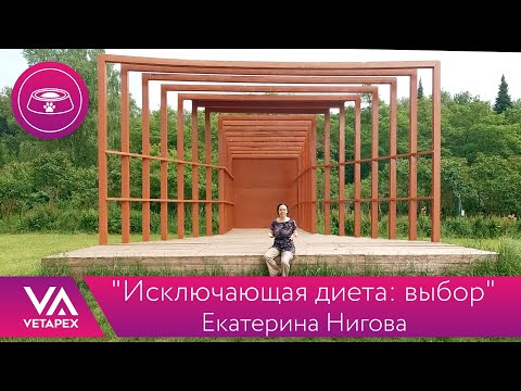 Видео: Кафедра Диетологии "Исключающая диета: выбор"