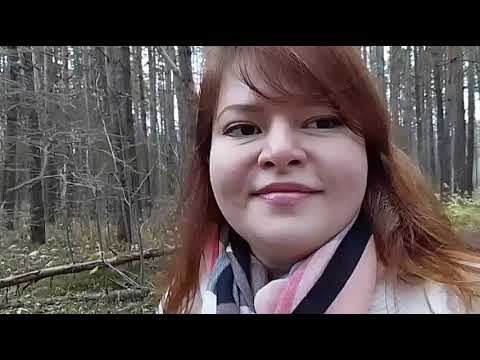 Видео: Праздничное настроение в преддверии снегопада