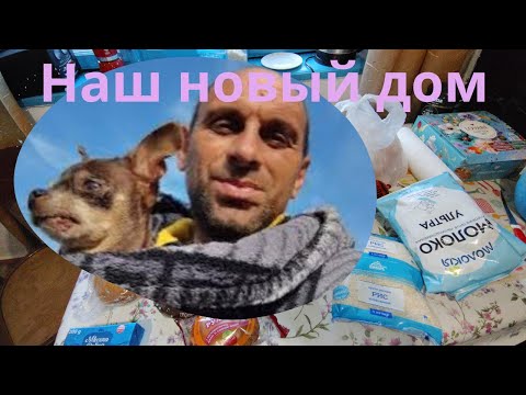 Видео: Попытка подружить Лялю и Дымку.Обзор покупок 