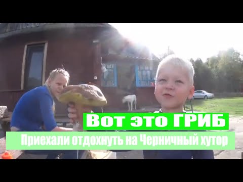 Видео: Мы едем в гости на ЧЕРНИЧНЫЙ ХУТОР. ПЕРВЫЕ ГРИБЫ в этом году.