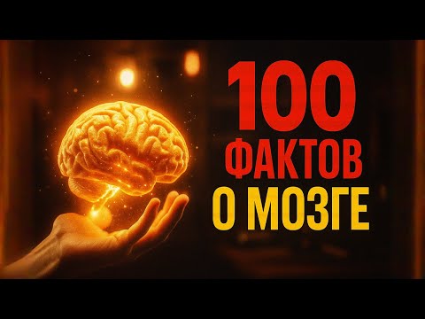 Видео: Факты о мозге: 100 мифов и истин, которые взорвут мозг