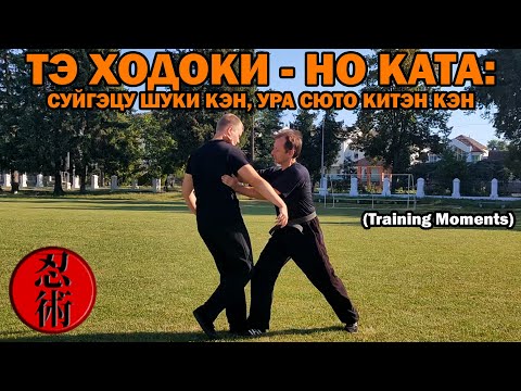 Видео: Тренировочные моменты №81 - ТЭ ХОДОКИ - НО КАТА: СУЙГЭЦУ ШУКИ КЭН, УРА СЮТО КИТЭН КЭН