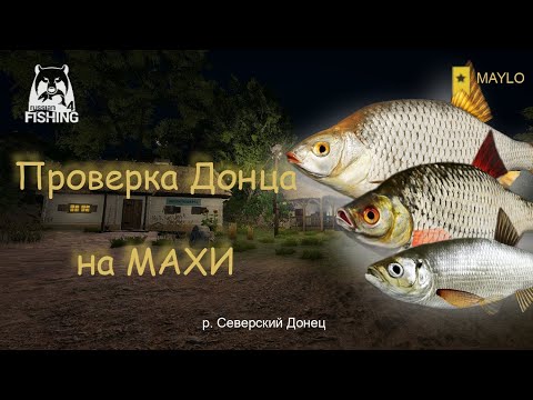 Видео: 900 серы на махи р. Северский Донец | Русская Рыбалка 4 | РР4 MAYLO