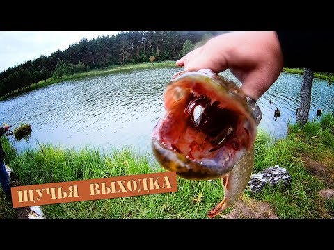 Видео: Щука гнет железо!