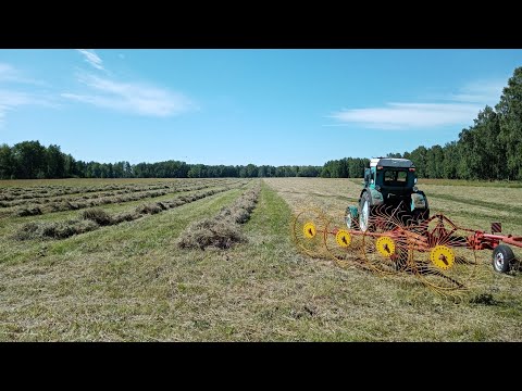 Видео: Сенокос 2020. 2. Т-40АМ и ГКП-6.1М "Харвест" гребем сено.