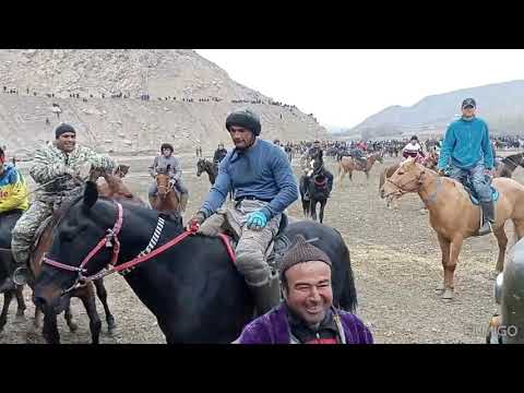 Видео: Бузкаши дар деҳаи Косатарош силим 2то асп.