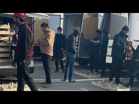 Видео: Олтиариқ узум бозори