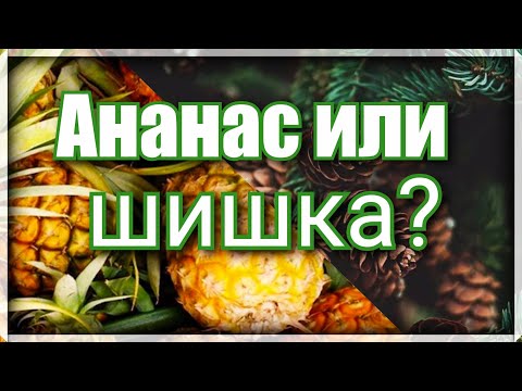 Видео: Пэчворк. Блок Ананас. Простой способ пошива без расчетов. Способ № 1. Видео МК для новичков.